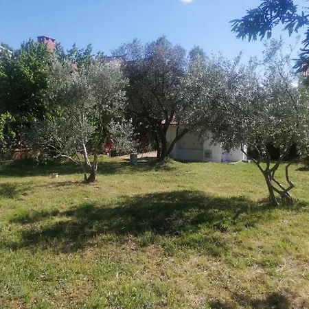 Campsite S&m