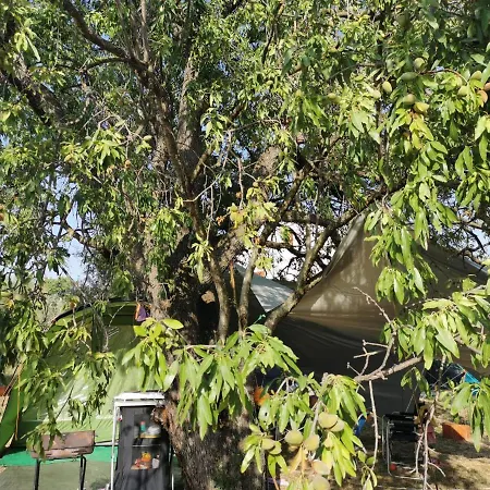 S&m * Sveti Filip i Jakov