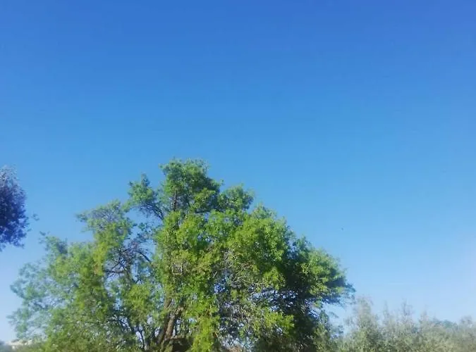 S&m * Sveti Filip i Jakov