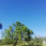 S&m * Sveti Filip i Jakov