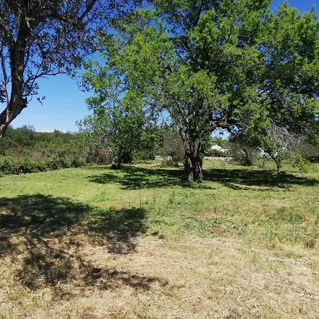 营地 S&m 圣菲利普雅科夫