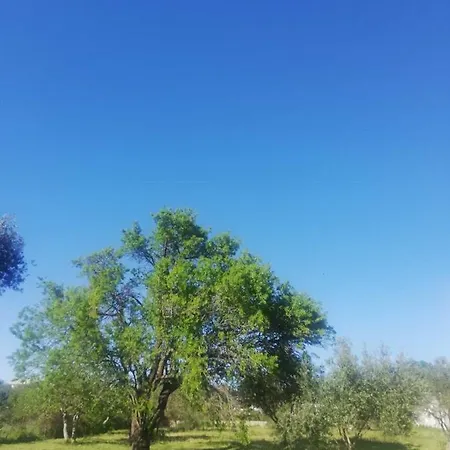 S&m * 圣菲利普雅科夫