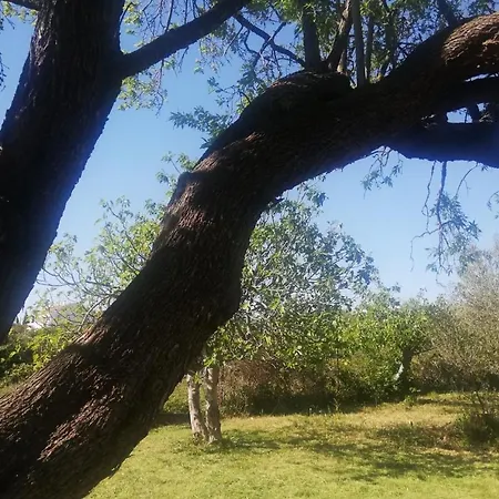 Campingplads S&m Sveti Filip i Jakov