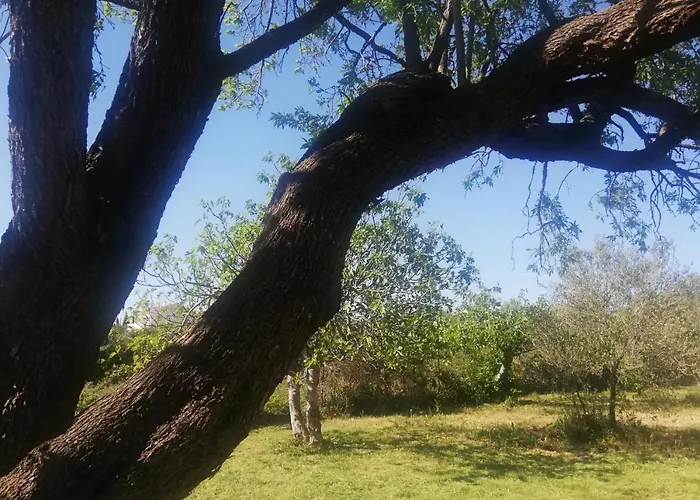 Camping S&m Sveti Filip i Jakov