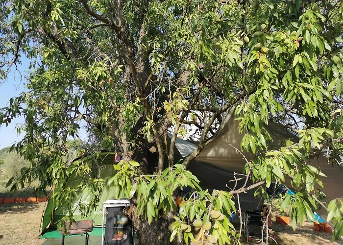 S&m * Sveti Filip i Jakov